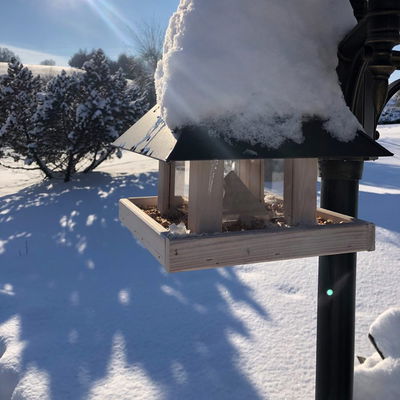 Kölle Vogelfutterhaus inkl. Ständer, ca. 26 x 26 x H24 cm Kölle Vogelfutterhaus inkl. Ständer, ca. 26 x 26 x H24 cm