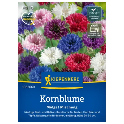 Kiepenkerl Saatgutmischung Kornblume 'Midget' Kiepenkerl Saatgutmischung Kornblume 'Midget'
