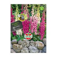 Blumensamenmischung, Fingerhut 'Mervita'