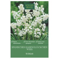 Waldhyazinthen (Hyacinthoides Hispanica) weiß, 10 Blumenzwiebeln