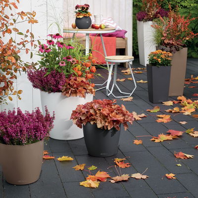 Lechuza 'Classico Color 35', muskat, ca. Ø 34,5 x H 32,5 cm Lechuza 'Classico Color 35', muskat, ca. Ø 34,5 x H 32,5 cm