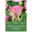 Viridiflora Tulpen Grönland rosa/grün, 7 Blumenzwiebeln Viridiflora Tulpen Grönland rosa/grün, 7 Blumenzwiebeln