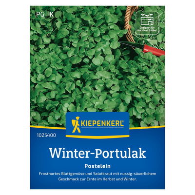 Portulaksamen 'Winterportulak' Portulaksamen 'Winterportulak'