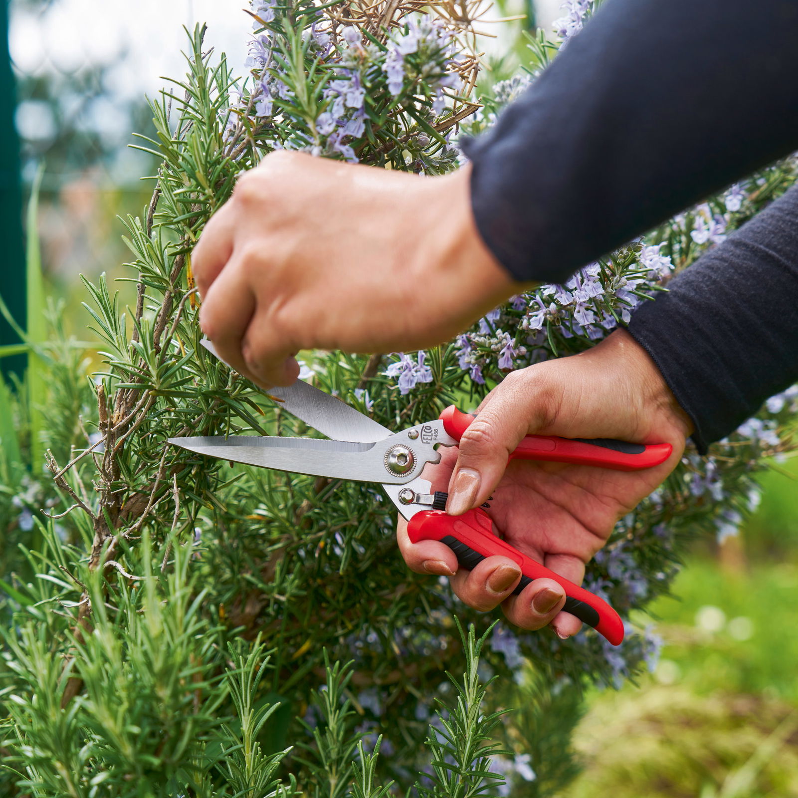 Felco Universalschere Nr. 171 Felco Universalschere Nr. 171