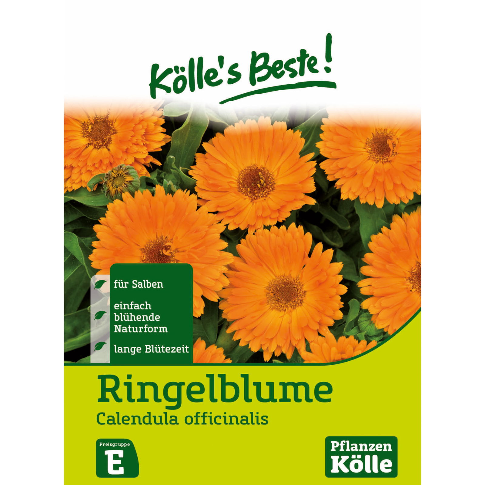 Kölle's Beste Blumensamen Ringelblume (Calendula officinalis)