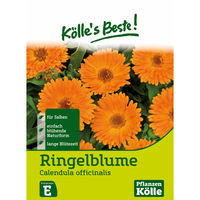 Kölle's Beste Blumensamen Ringelblume (Calendula officinalis)