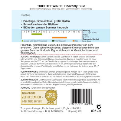 Thompson & Morgan Blumensamen Trichterwinde 