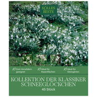 Schneeglöckchen Klassiker-Kollektion, 45 Blumenzwiebeln Schneeglöckchen Klassiker-Kollektion, 45 Blumenzwiebeln