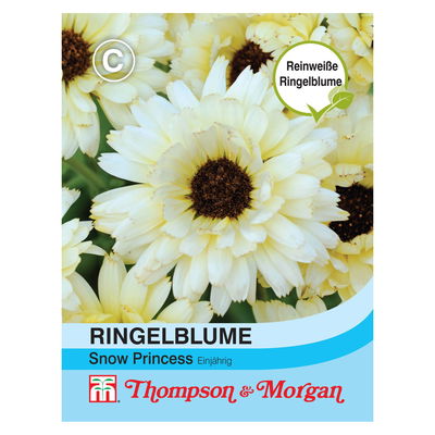 Ringelblume (Calendula officinalis) Snow Princess