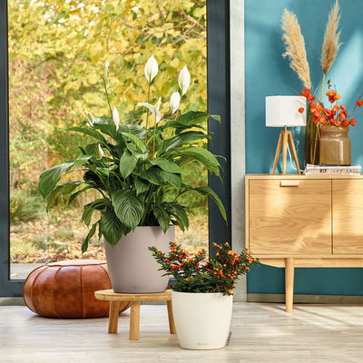 Lechuza 'Classico Color 28', weiß, ca. Ø 27,5 x H 26 cm Lechuza 'Classico Color 28', weiß, ca. Ø 27,5 x H 26 cm