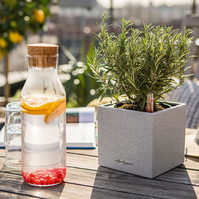 Lechuza 'Canto Stone 14', steingrau, ca. 14 x 14 x H 13,5 cm