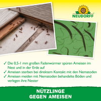 Neudorff Bestell-Set Nützlinge gegen Ameisen, 10 Mio Stück Neudorff Bestell-Set Nützlinge gegen Ameisen, 10 Mio Stück