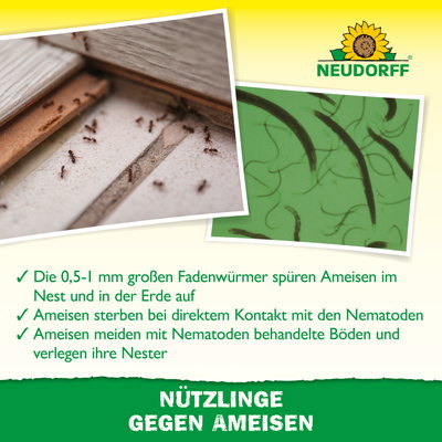 Neudorff Bestell-Set Nützlinge gegen Ameisen, 10 Mio Stück Neudorff Bestell-Set Nützlinge gegen Ameisen, 10 Mio Stück