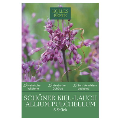 Kölles Beste Schöner Kiel-Lauch, Allium Pulchellum, 5 Blumenzwiebeln
