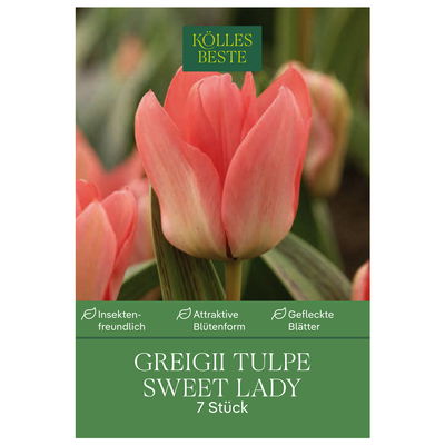 Greigii Tulpen Sweet Lady rosa, 7 Blumenzwiebeln