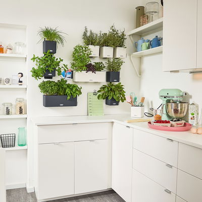 Lechuza 'Green Wall Home Kit Color', weiß, ca. 48 x 15 x H 14 cm Lechuza 'Green Wall Home Kit Color', weiß, ca. 48 x 15 x H 14 cm