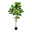 Kunstpflanze Ficus umbellata, Höhe ca. 175 cm