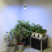 Pflanzenlampe Winter 18 W