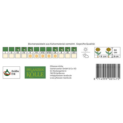 Holländische Iris Prachtmischung, 20 Blumenzwiebeln Holländische Iris Prachtmischung, 20 Blumenzwiebeln