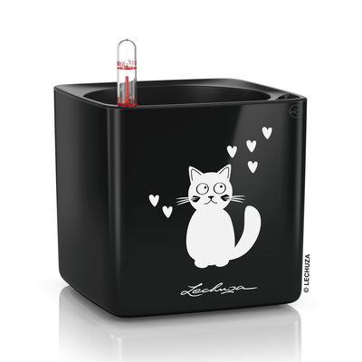 Lechuza 'Cube Glossy Cat 14', schwarz highgloss, ca. 14 x 14 x H 13,5 cm Lechuza 'Cube Glossy Cat 14', schwarz highgloss, ca. 14 x 14 x H 13,5 cm
