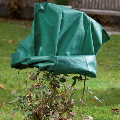 Kölles Beste Rosenschutz-Haube, grün, B75 x H80 cm, 2er-Pack