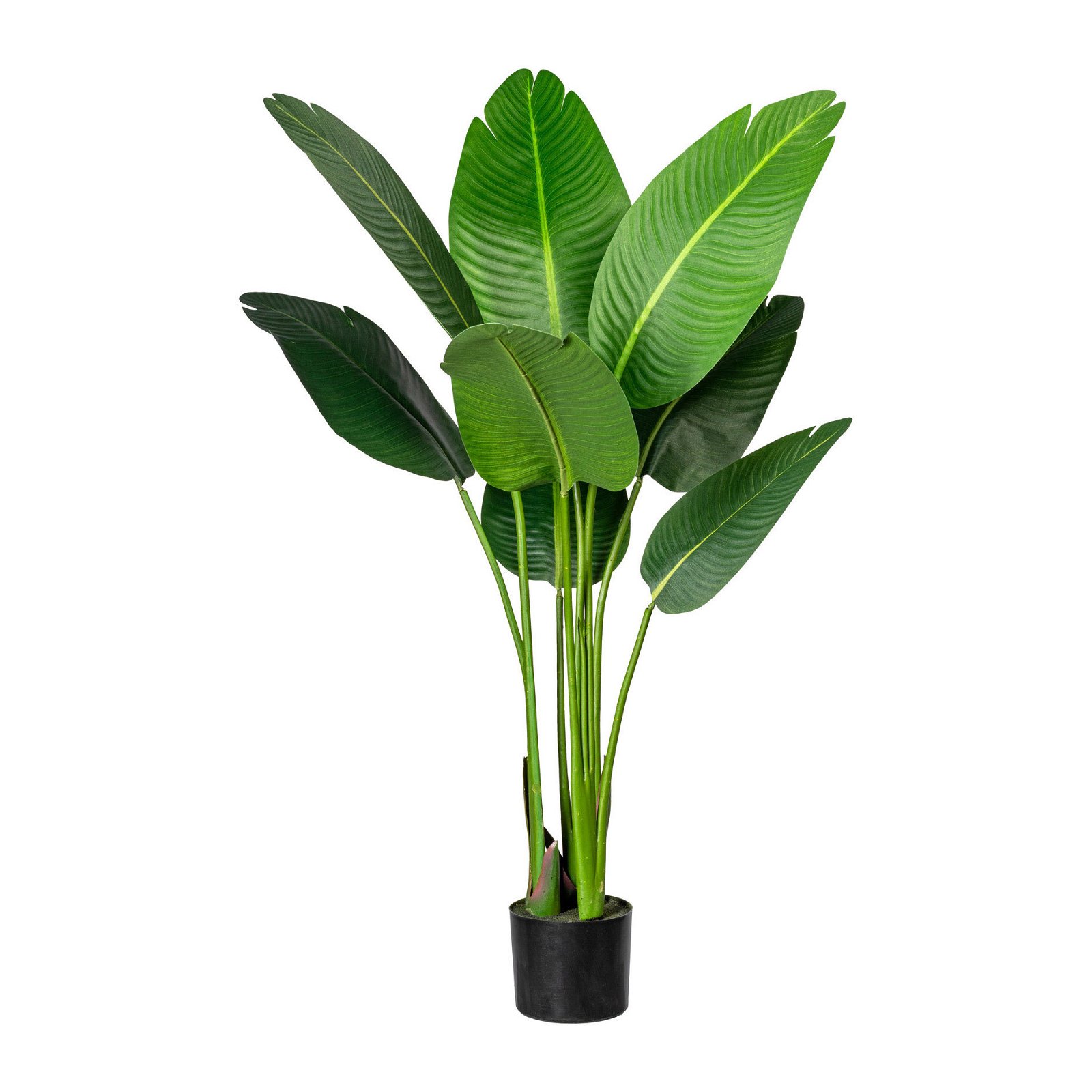 Kunstpflanze Strelitzia nicolai, Höhe ca. 120 cm