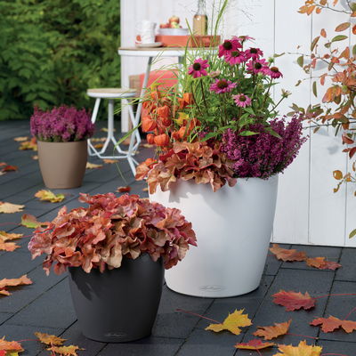 Lechuza 'Classico Color 43', weiß, ca. Ø 42 x H 39,5 cm Lechuza 'Classico Color 43', weiß, ca. Ø 42 x H 39,5 cm