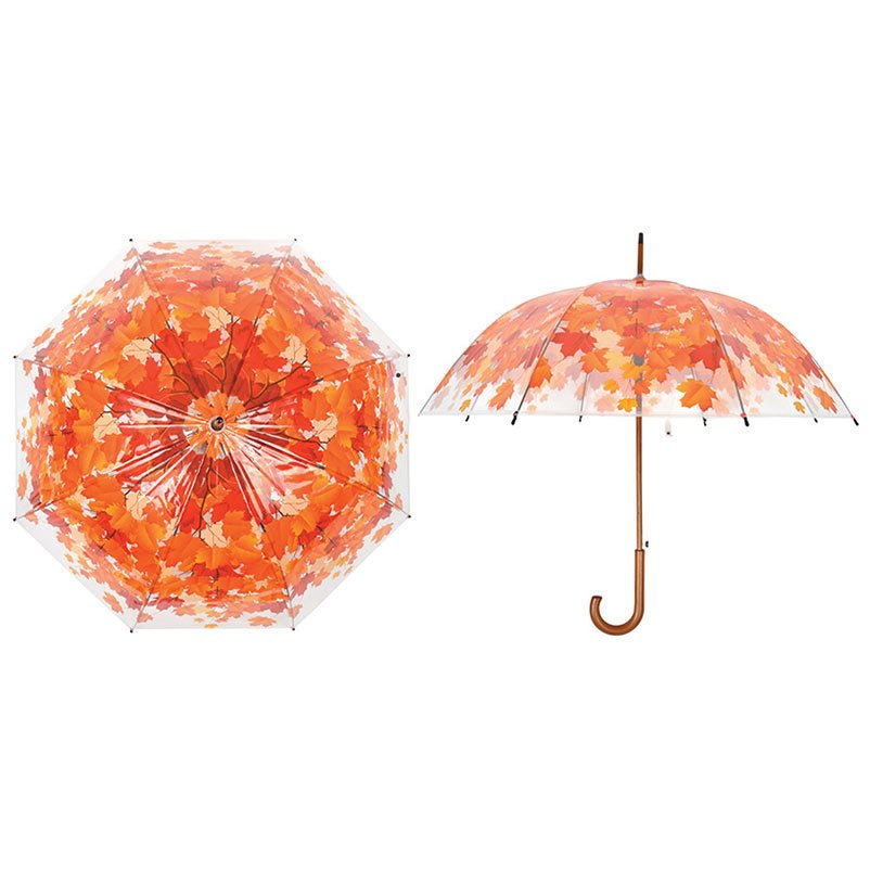 Regenschirm transparent mit herbstlichem Baumkronen-Motiv