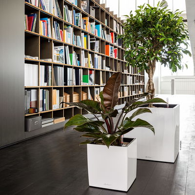 Lechuza 'Cube Premium 50', weiß, ca. 49 x 49 x H 49,5 cm