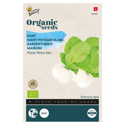 Gemüsesamen, Mairübe 'Holländische Weiße', weiß, 3 g Gemüsesamen, Mairübe 'Holländische Weiße', weiß, 3 g