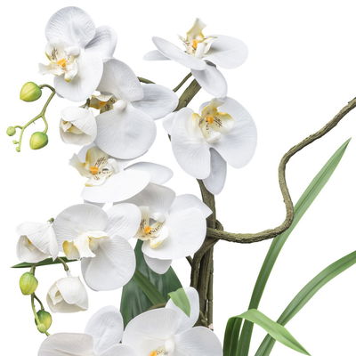 Künstlicher Phalaenopsis, weiß, Höhe ca. 68 cm