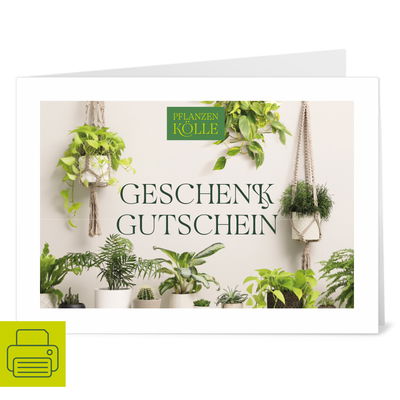 Gutschein zum Ausdrucken 'Grünpflanze' Gutschein zum Ausdrucken 'Grünpflanze'