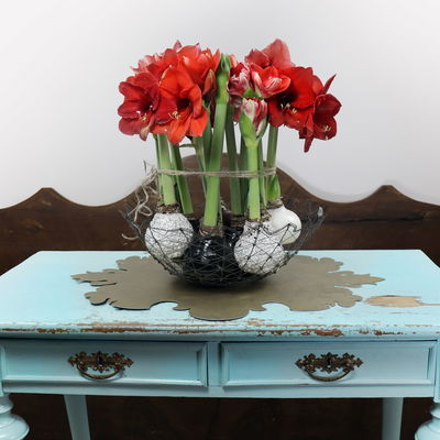 Amaryllis in Wachs XL, Dekor 'Basic Red', Blüte rot Amaryllis in Wachs XL, Dekor 'Basic Red', Blüte rot