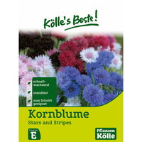 Kölle's Beste Blumensamen Flockenblume 