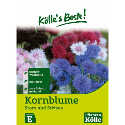 Kölles Beste Blumensamen Flockenblume  Kölles Beste Blumensamen Flockenblume