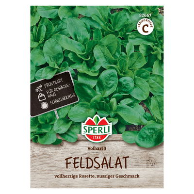 Saatgut Feldsalat 'Volhart 3' Saatgut Feldsalat 'Volhart 3'