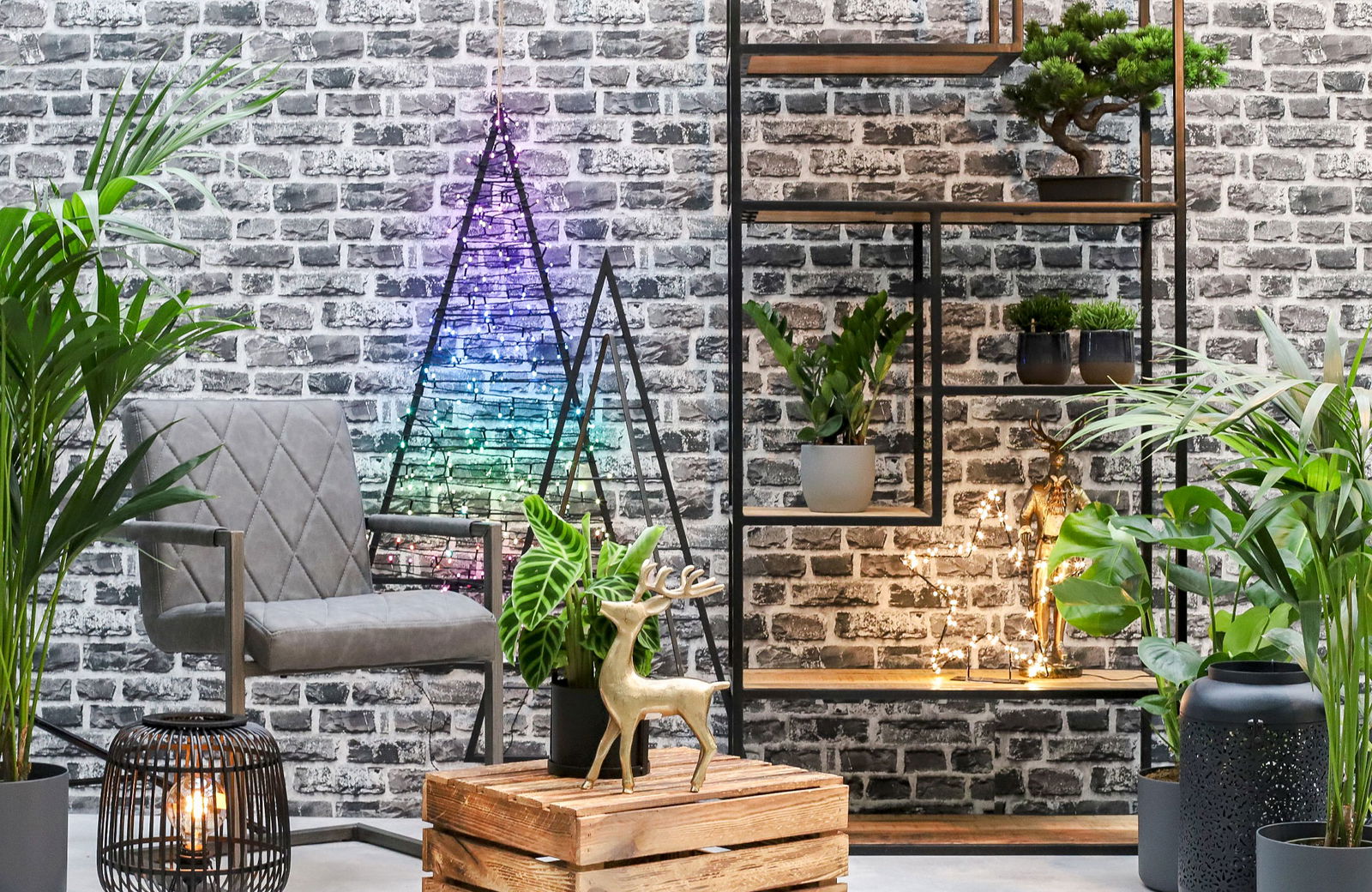 Urban Christmas