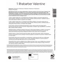 Kiepenkerl Rhabarber 'Valentine®'