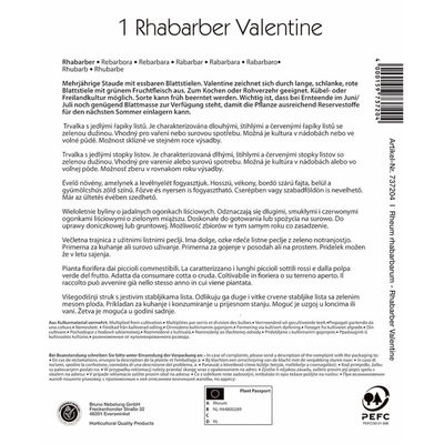 Kiepenkerl Rhabarber 'Valentine®' Kiepenkerl Rhabarber 'Valentine®'