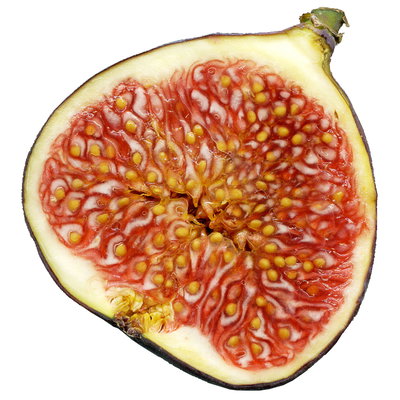 Blu Bio Feigenbaum, Topf-Ø 12 cm, 2er-Set