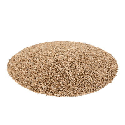 Kölle's Beste Vogel-Snack Kanariensaat Glanz Kölle's Beste Vogel-Snack Kanariensaat Glanz