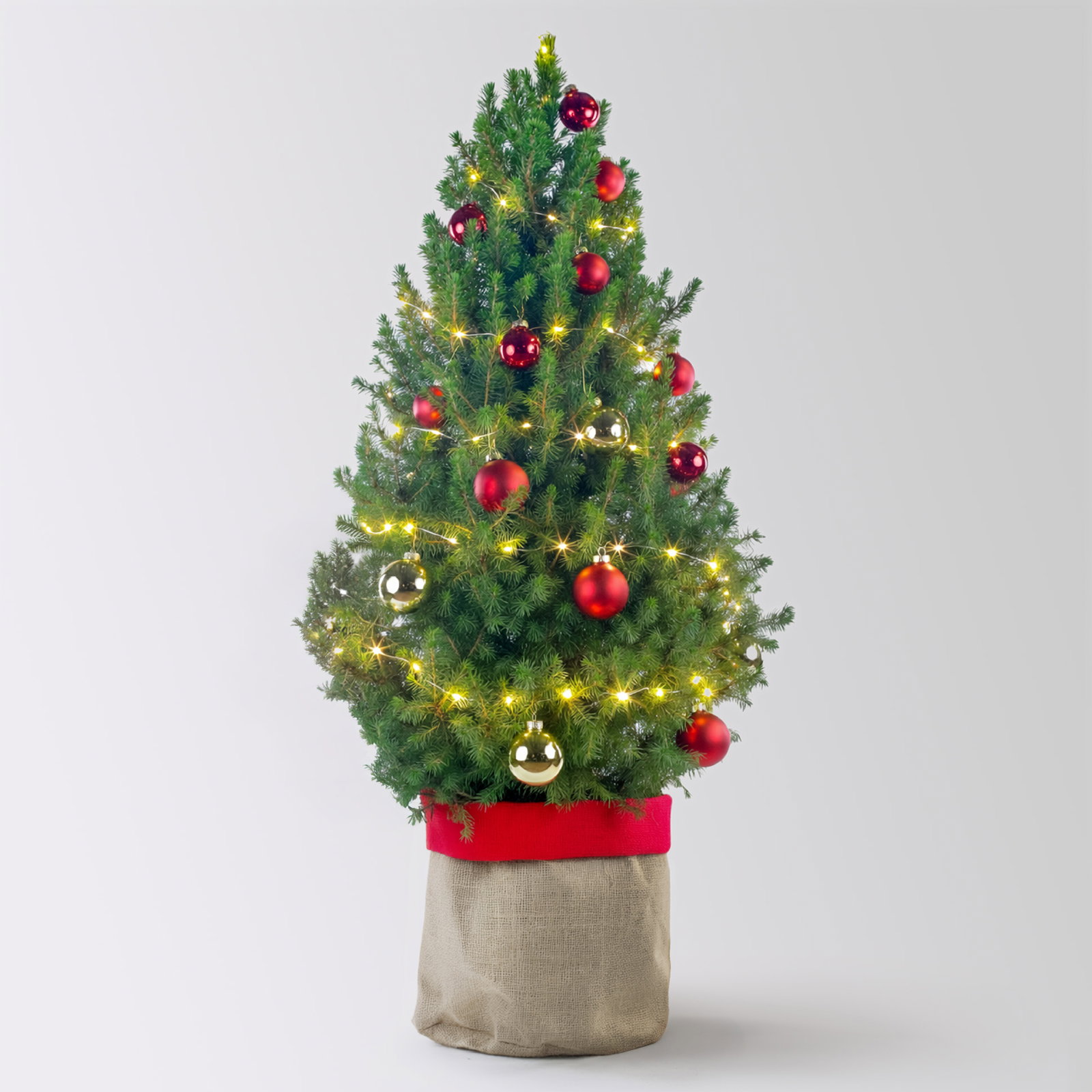 Weihnachtsbäumchen inkl. Deko, rot-gold, Topf-Ø 25 cm, Höhe ca. 100 cm