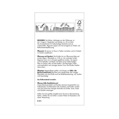 Gefüllte Begonie, orange, 3 Blumenknollen Gefüllte Begonie, orange, 3 Blumenknollen