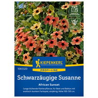 Blumensamen, Schwarzäugige Susanne 'Afr. Sunset', rot