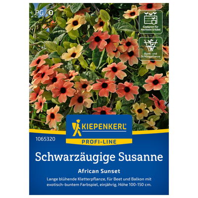 Blumensamen, Schwarzäugige Susanne 'Afr. Sunset', rot Blumensamen, Schwarzäugige Susanne 'Afr. Sunset', rot