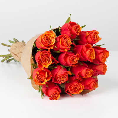 15 orange/rote Rosen 'Espana'