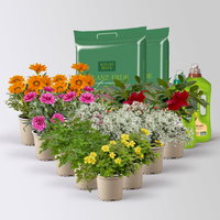 Pflanzenkreation 'Sonnenkünstler', 12 Pflanzen inkl. Erde und Dünger