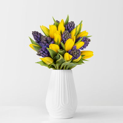 Schnittblumen-Mix aus 20 gelben Tulpen & 9 blauen Hyazinthen