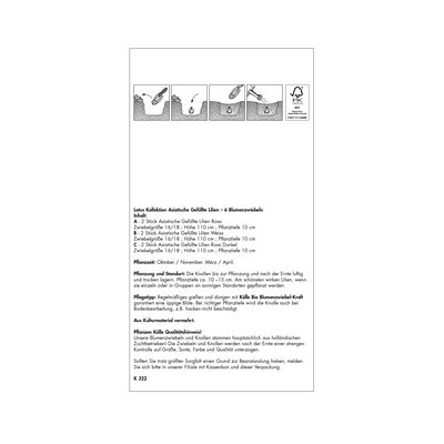 XXL Lotus-Lilien Kollektion, weiß, rosa, Größe 16/18, 6 Blumenzwiebeln XXL Lotus-Lilien Kollektion, weiß, rosa, Größe 16/18, 6 Blumenzwiebeln