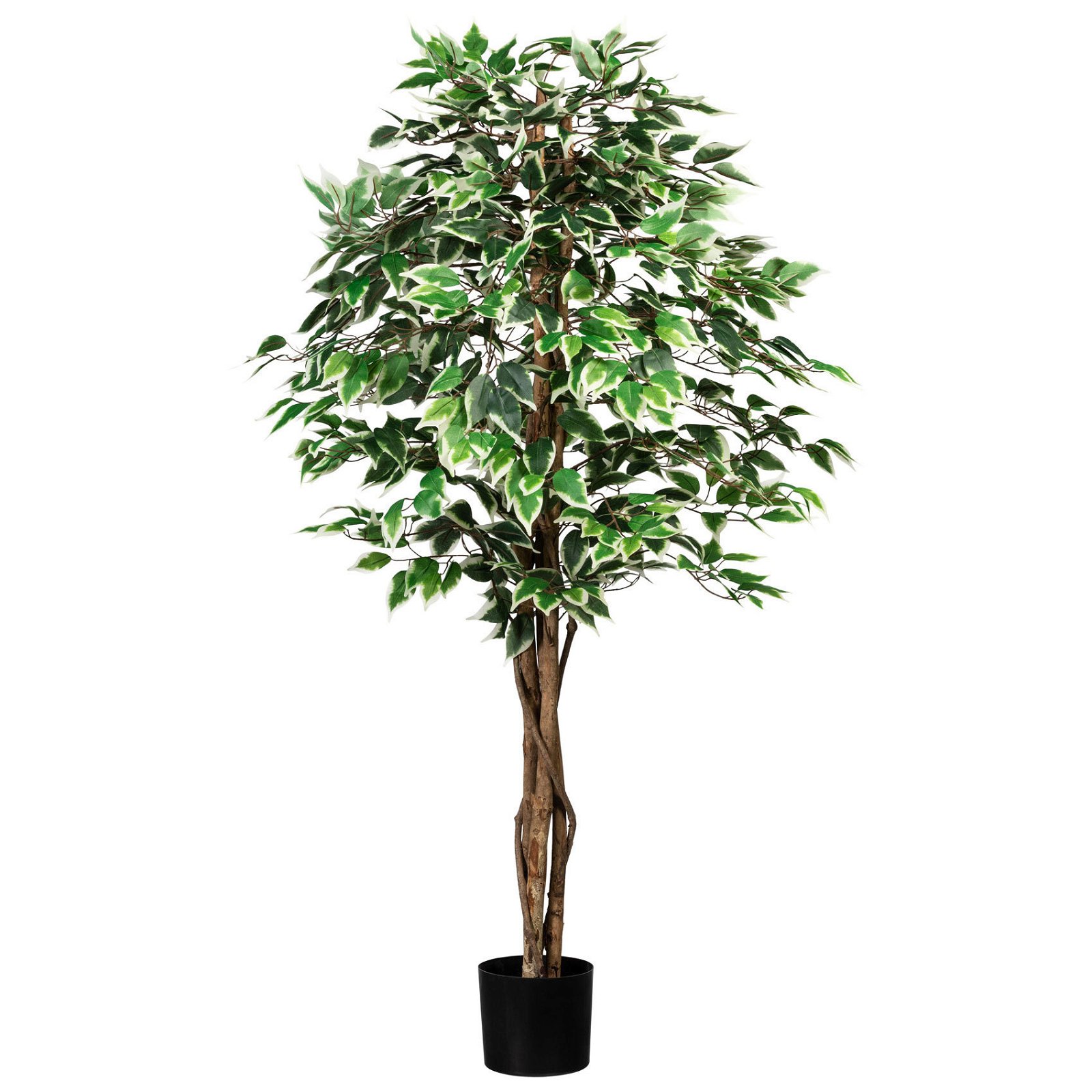 Künstlicher Ficus benjamini, Birkenfeige, grünweiß, ca. 150 cm, ca. 840 Blätter